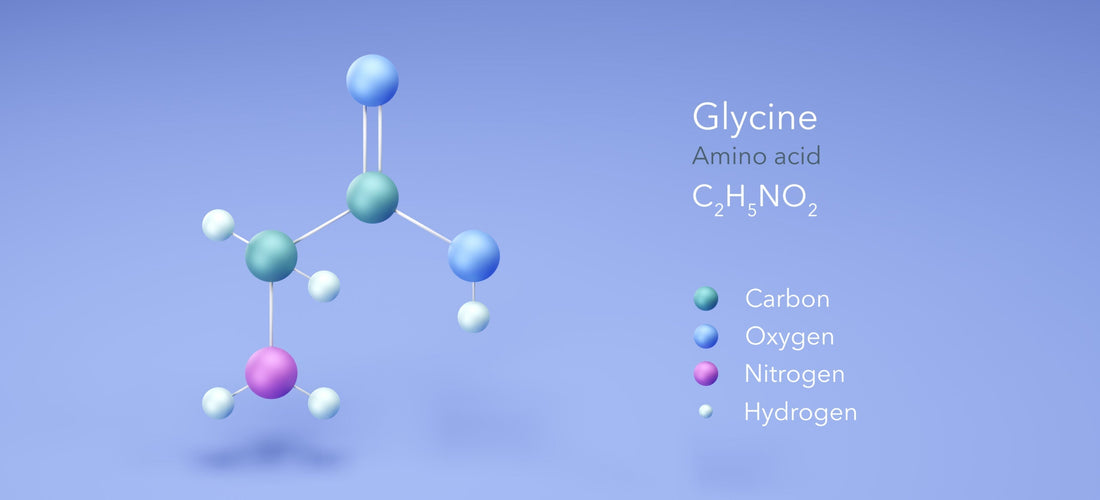 article-page-carousel-item--The Role of Glycine in Human Health and Longevity