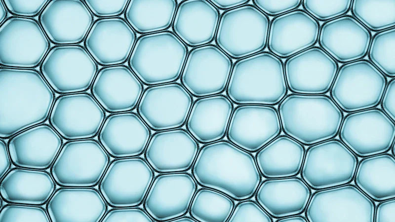 article-page-carousel-item--CoQ10 & Reproductive Health: Powering Fertility Through Mitochondria and Antioxidant Defense