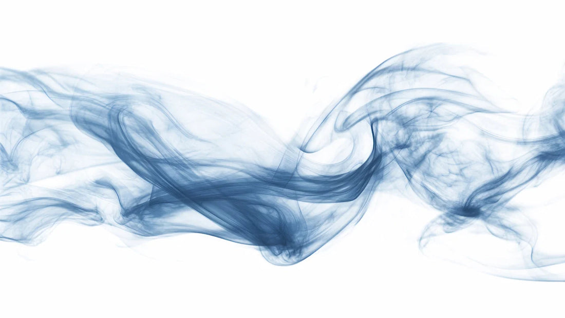 article-page-carousel-item--Resveratrol and NMN Restore Brain Metabolism and Reduce Inflammation in Smoke-Exposed Aged Mice