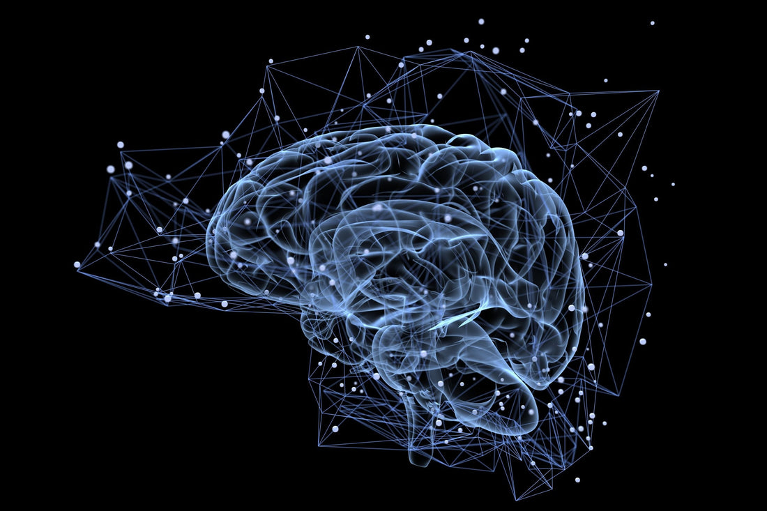 article-page-carousel-item--NAD+ for Metabolism and Brain, NMN for the body?