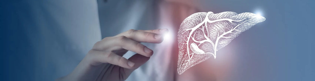 article-page-carousel-item--NAM Boosts Liver Function and Protects Against Alcohol Damage