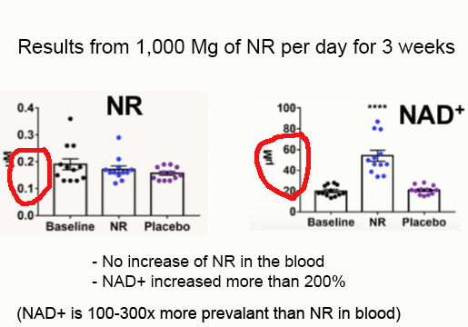 article-page-carousel-item--NAD+ is the Transport Molecule Used by the Body, Not Nicotinamide Riboside