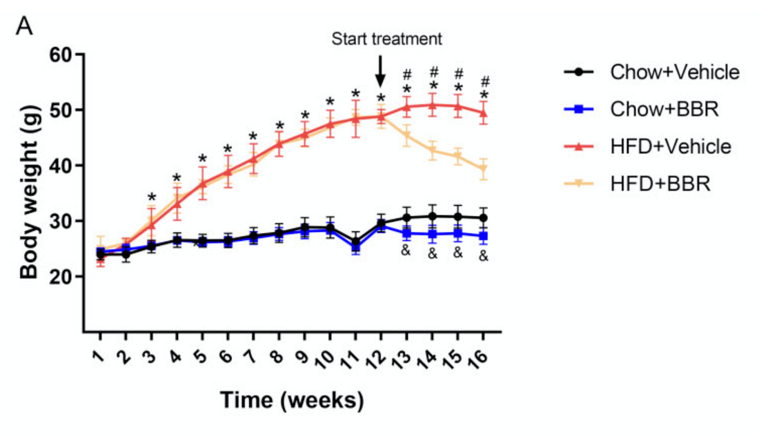 article-page-carousel-item--Study Finds Berberine Improves Obesity, Glucose, Lipids, & Liver Health in Mice