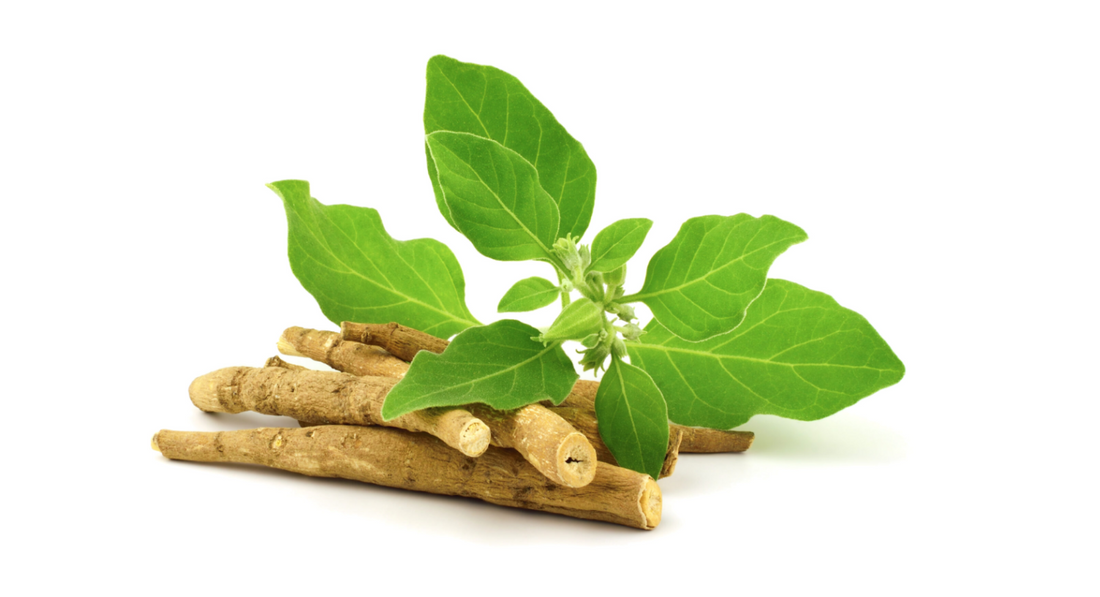 article-page-carousel-item--Research-Backed Benefits of Ashwagandha