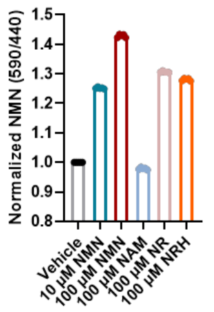 article-page-carousel-item--Confirmation NMN enters some cells directly