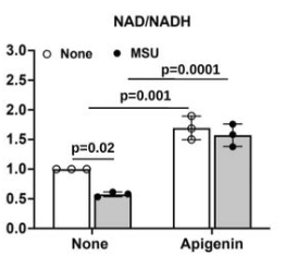 article-page-carousel-item--Apigenin and Nicotinamide Riboside Target Gouty Inflammation