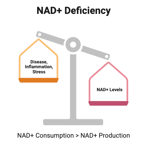 article-page-carousel-item--Health Conditions Linked to NAD+ Decline