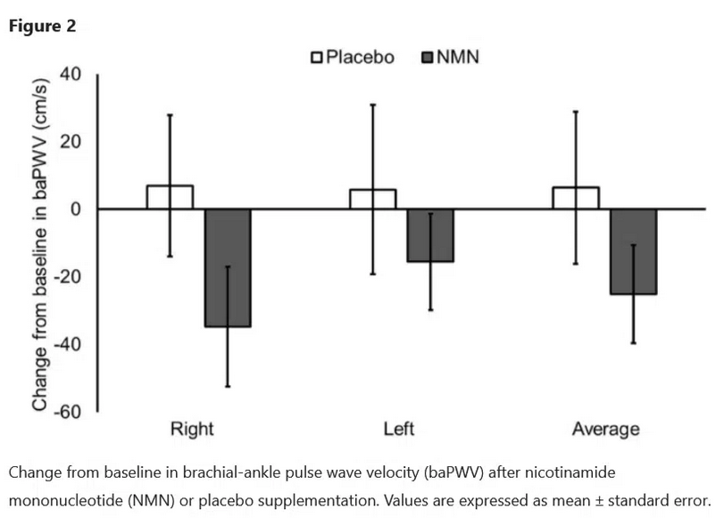 article-page-carousel-item--Study Shows NMN Reduces Arterial Stiffness & Blood Pressure
