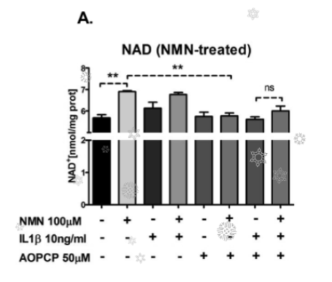 article-page-carousel-item--CD73 utilization shows importance of NMN to restore NAD+