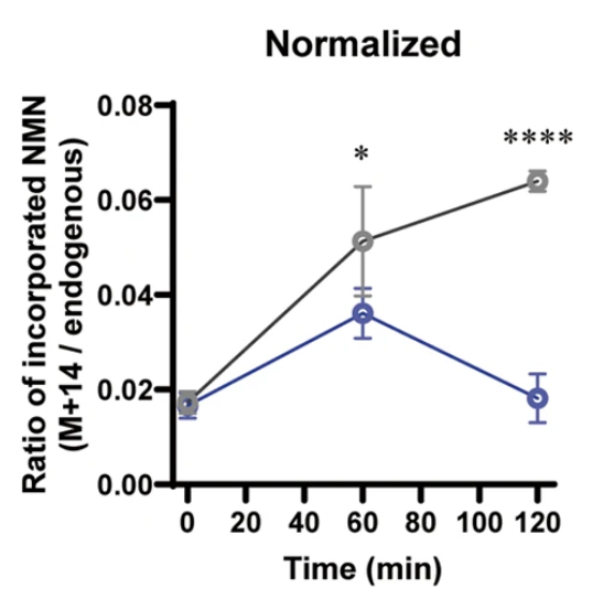 article-page-carousel-item--Enhanced NMN Detection Validates Slc12a8-Dependent Uptake