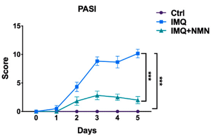 article-page-carousel-item--NMN Protects Skin and Improves Prognosis in Psoriatic Mice