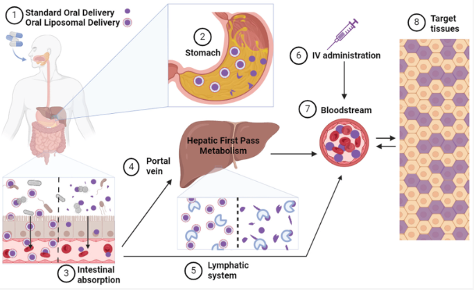 article-page-carousel-item--NMN Administration Route Impacts Metabolism and Efficacy