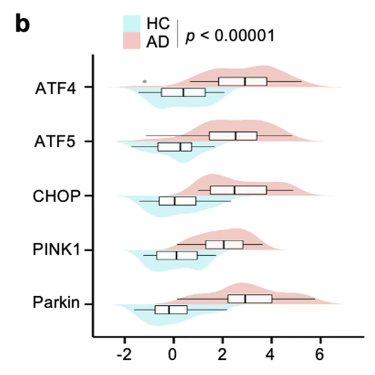 article-page-carousel-item--NMN Enhanced Mitochondrial Stress Response and Improved Cognition in an Alzheimer’s Mouse Model