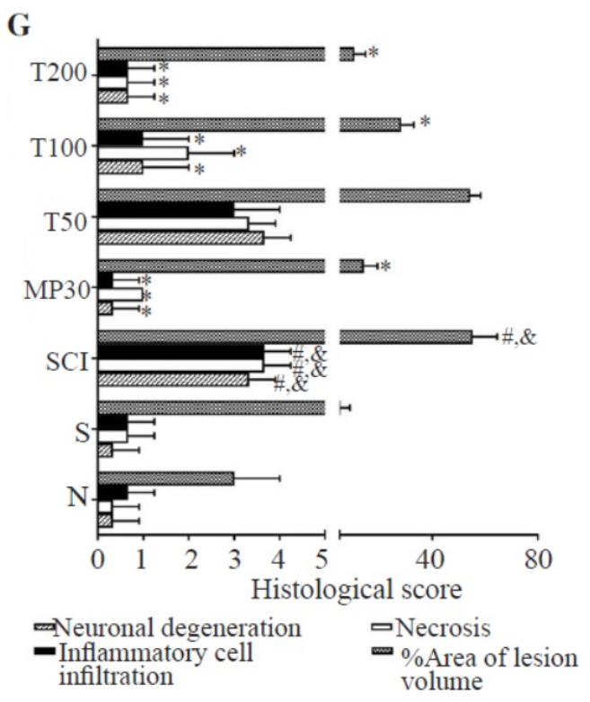 article-page-carousel-item--Trigonelline Improves Healing and Reduces Damage After Spinal Cord Injury in Rats