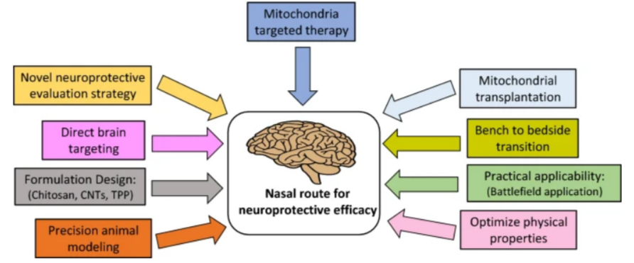 article-page-carousel-item--Exciting Research on NAD+ Nasal Spray