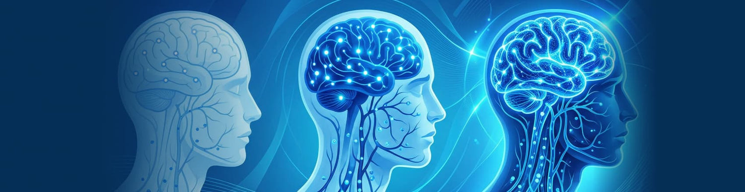Three blue brain illustrations on a dark background