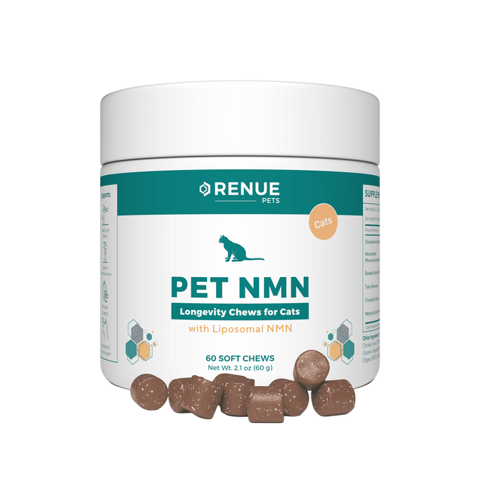 PET NMN Longevity Chews for Cats